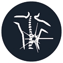 Northeast Pain Management logo