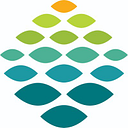 Northern Light Health logo