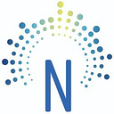 Northlight Foundation Inc logo