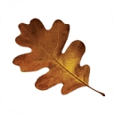 North Oak Real Estate Inc logo