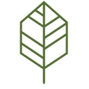 Estrella of Cascadia