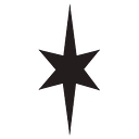 North Star Alliances logo