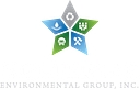 Northstar Enviromental Group Inc. logo