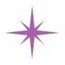 NORTHSTAR HOME HOSPICE LLC