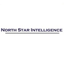 North Star Intelligence, Llc logo