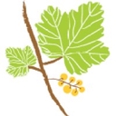 Northwest Native Landscapes logo