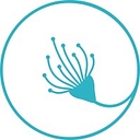 The Northwest Psychology Practice logo