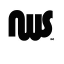 Northwest Synergy, Inc. logo