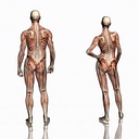 Norwich Osteopathic Clinic logo
