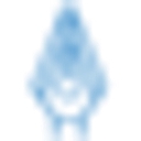 The Notary Practice logo