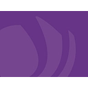 Nottingham Academy logo