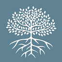 Novo Foundation logo