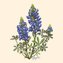 Native Plant Society of Texas logo