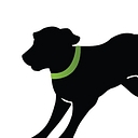 New Richmond Veterinary Hospital