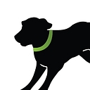 New Glasgow Veterinary Clinic logo