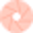 Nationalities Service Center logo