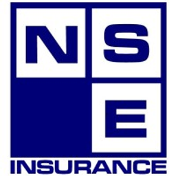 nseinsurance.com