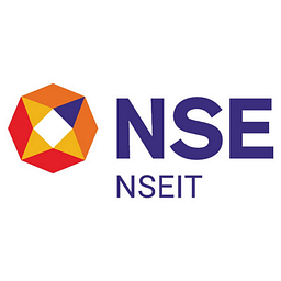 NSEIT (US) Inc logo
