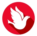 Network Solutions, Inc. logo