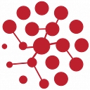 Ntiyiso Consulting logo