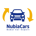 NubiaCars logo — React Native Developer – Mobile App job on DevsUnite