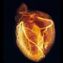 Specialty Pharmacy Services/Austin Nuclear Pharmacy logo