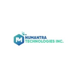 Numantra Technologies LLC logo