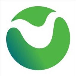 Numeral logo