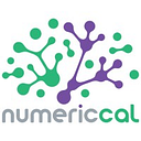 numericcal, inc.