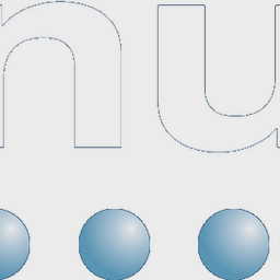 Numerus Limited logo