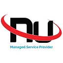 Numsp logo