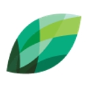 Nuvo Group Australia logo