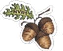 Northern Valley Indian Health, Inc. logo