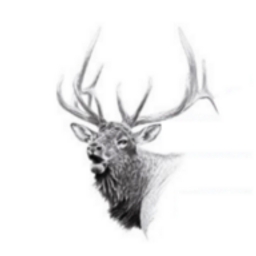 NW