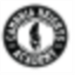 CAMBRIA HEIGHTS ACADEMY logo