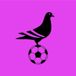 NYC Footy logo