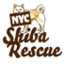 Nyc Shiba Rescue logo
