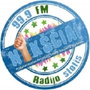 nyksciai.lt logo