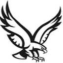 New York Mills Public School District logo