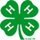 New York State 4-h Foundation Inc logo