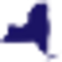 New York State Coalition Against Domestic Violence (Nyscadv) logo