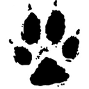 Wolf Conservation Center Inc logo