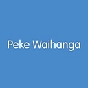 New Zealand Artificial Limb Service logo