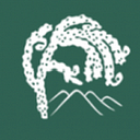 New Zealand Institute of Forestry Foundation logo