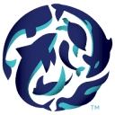 Ocean5 logo