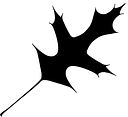 Oak Haven Church logo