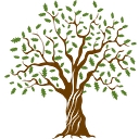 Oak Lane Cleaning Company logo