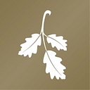 Varenna At Fountaingrove logo