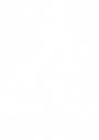 Oasis Landscapes & Irrigation logo