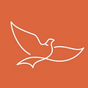 Venture Strategies for Health logo